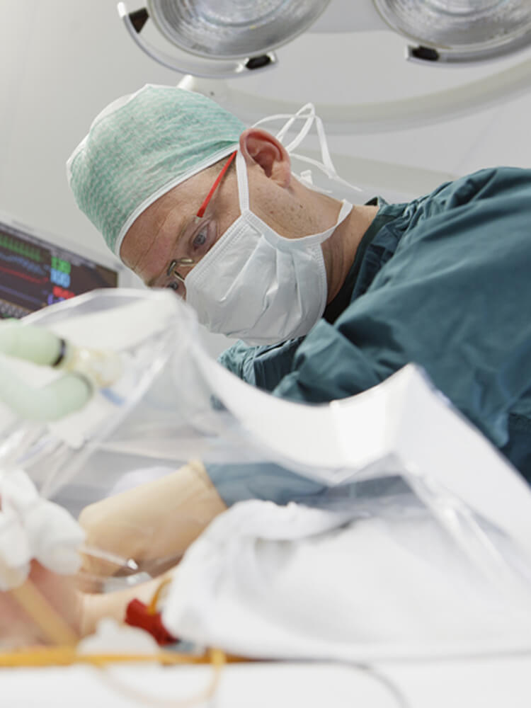 Eric Koomen, Utrecht, Holandsko